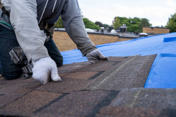 Best Roof Gutter Cleaning  in Big Coppitt Key, FL